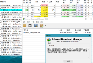 下载利器IDM v6.42.18绿色版